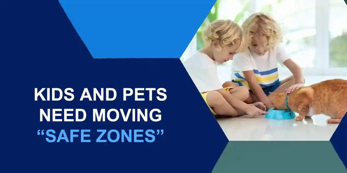 Blog 10 Pro Tips for Smooth Home Move Kids Pets